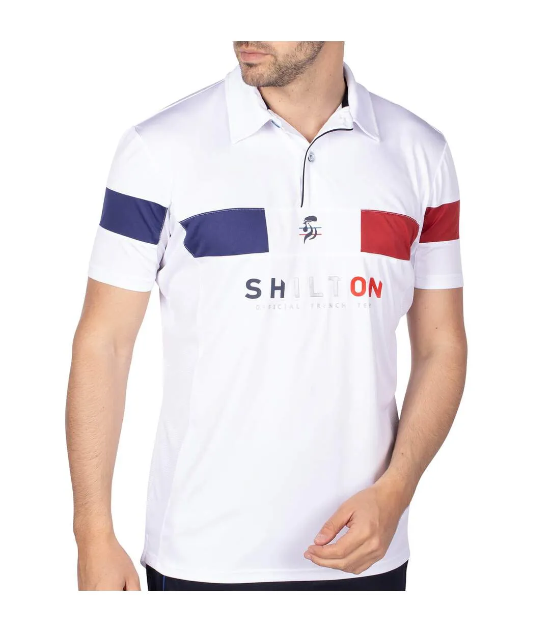 Polo tricolore Shilton